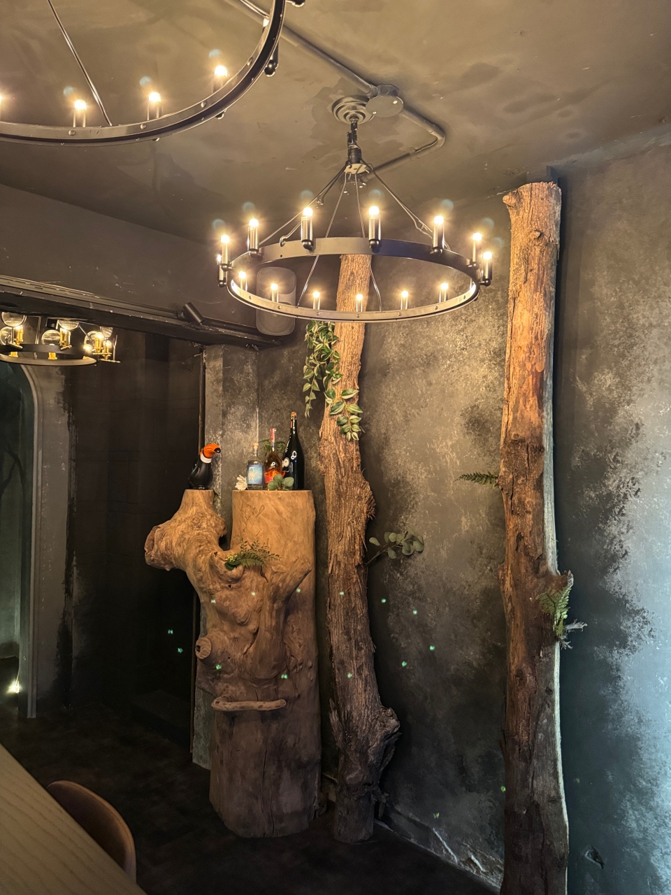 （有菜單）高雄最新樹洞裡的餐酒館 『Treelight 樹光餐酒』夢境般的大月球超吸睛 餐酒全部都高水準 文化中心餐酒館 月球餐酒館 @高雄美食底對