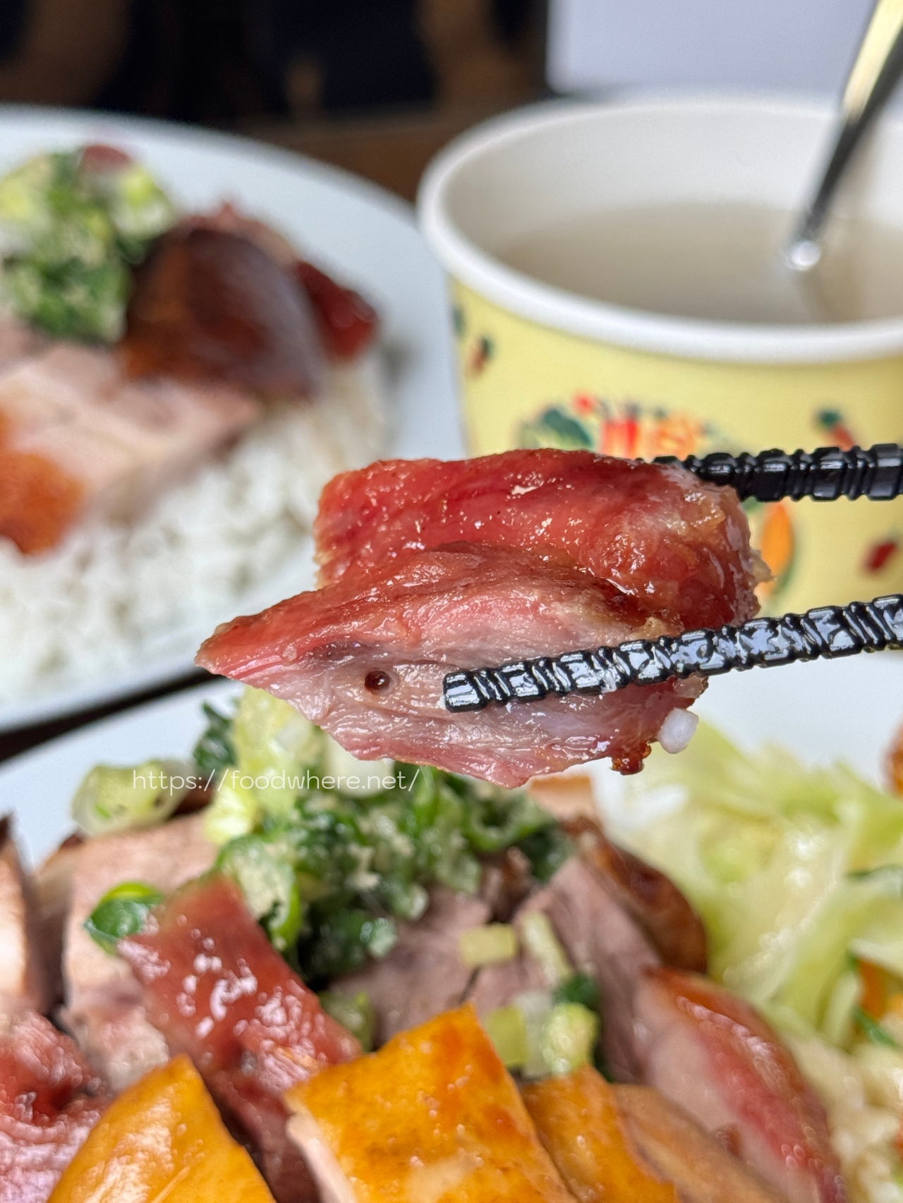高雄必吃金牌五寶飯《香港尖沙咀燒臘便當》燒腩、叉燒、燒鴨、油雞、香腸一次滿足！ @高雄美食底對
