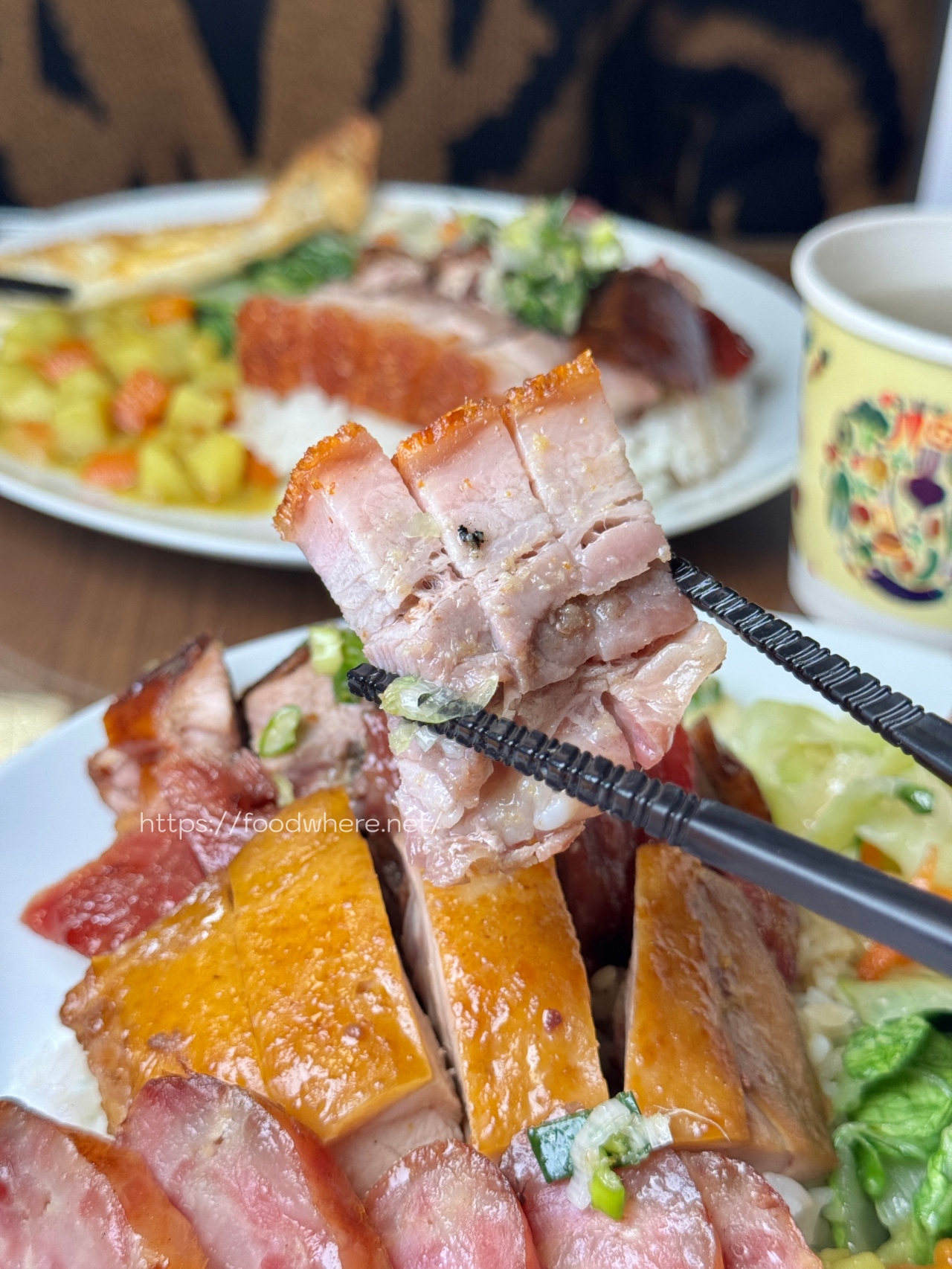 高雄必吃金牌五寶飯《香港尖沙咀燒臘便當》燒腩、叉燒、燒鴨、油雞、香腸一次滿足！ @高雄美食底對