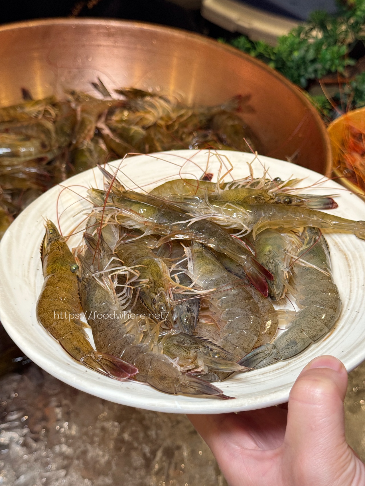 （多圖）高雄麻辣火鍋天花板《饗麻饗辣明誠旗艦店》夏季芒果甜點狂炸！不怕你吃 @高雄美食底對