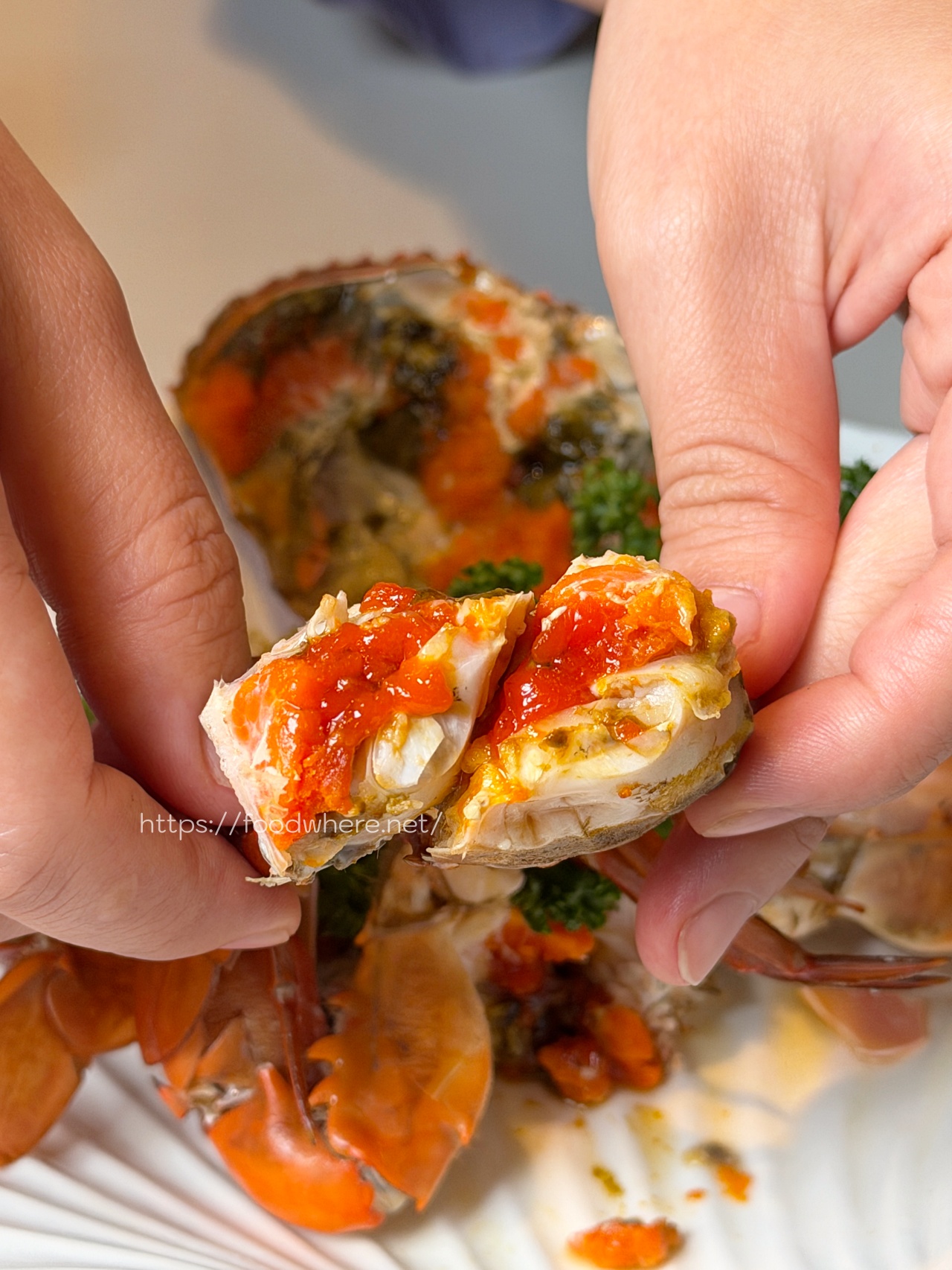 高雄現撈泰國蝦霸主《蝦搞活蝦海鮮餐廳》每一隻都大爆蝦膏 @高雄美食底對 高雄現撈泰國蝦霸主《蝦搞活蝦海鮮餐廳》每一隻都大爆蝦膏 @高雄美食底對