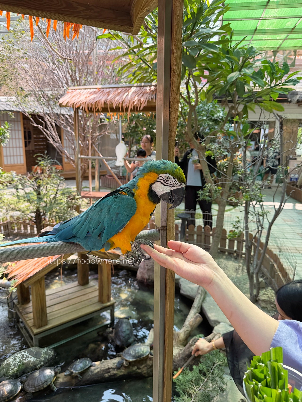 （高雄景點）高雄中央公園的療癒秘境：天使&#038;惡魔寵物互動園區 @高雄美食底對