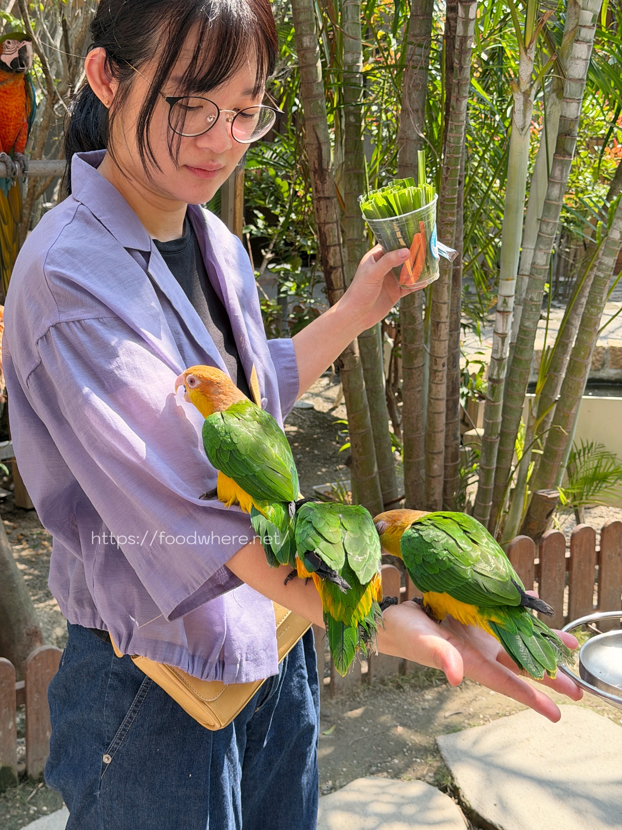 （高雄景點）高雄中央公園的療癒秘境：天使&#038;惡魔寵物互動園區 @高雄美食底對