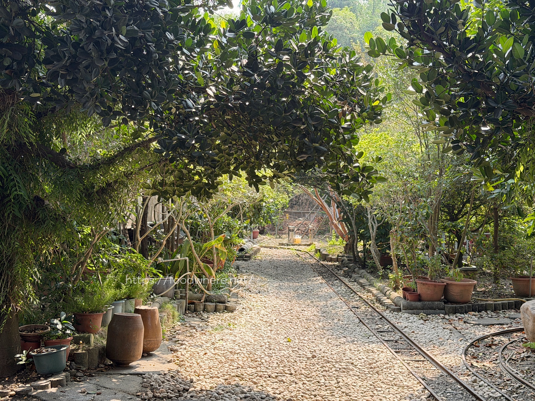高雄美食《綠野山莊》不只土雞超厲害！酥脆招牌雞、浮誇魚翅羹、隱藏版鰻片米糕，大社觀音山下人氣土雞城 @高雄美食底對