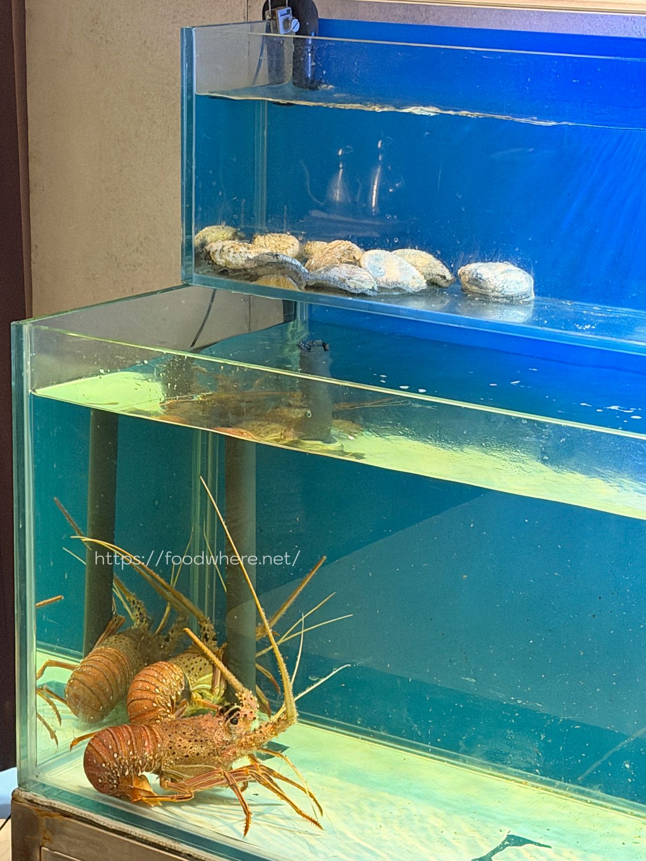 高雄慶生餐廳《Lyon Teppanyaki 里昂鐵板燒》高CP值無菜單預約制鐵板饗宴 @高雄美食底對