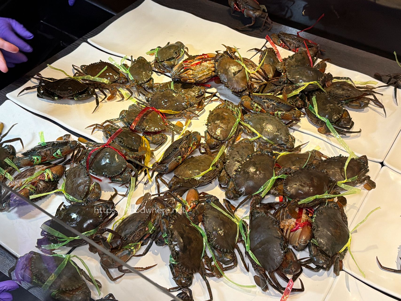 高雄火鍋推薦《舞古賀鍋物專門店》活跳跳新鮮爆蛋紅蟳單隻 99 元，36oz 大份量肉盤雙人餐 @高雄美食底對