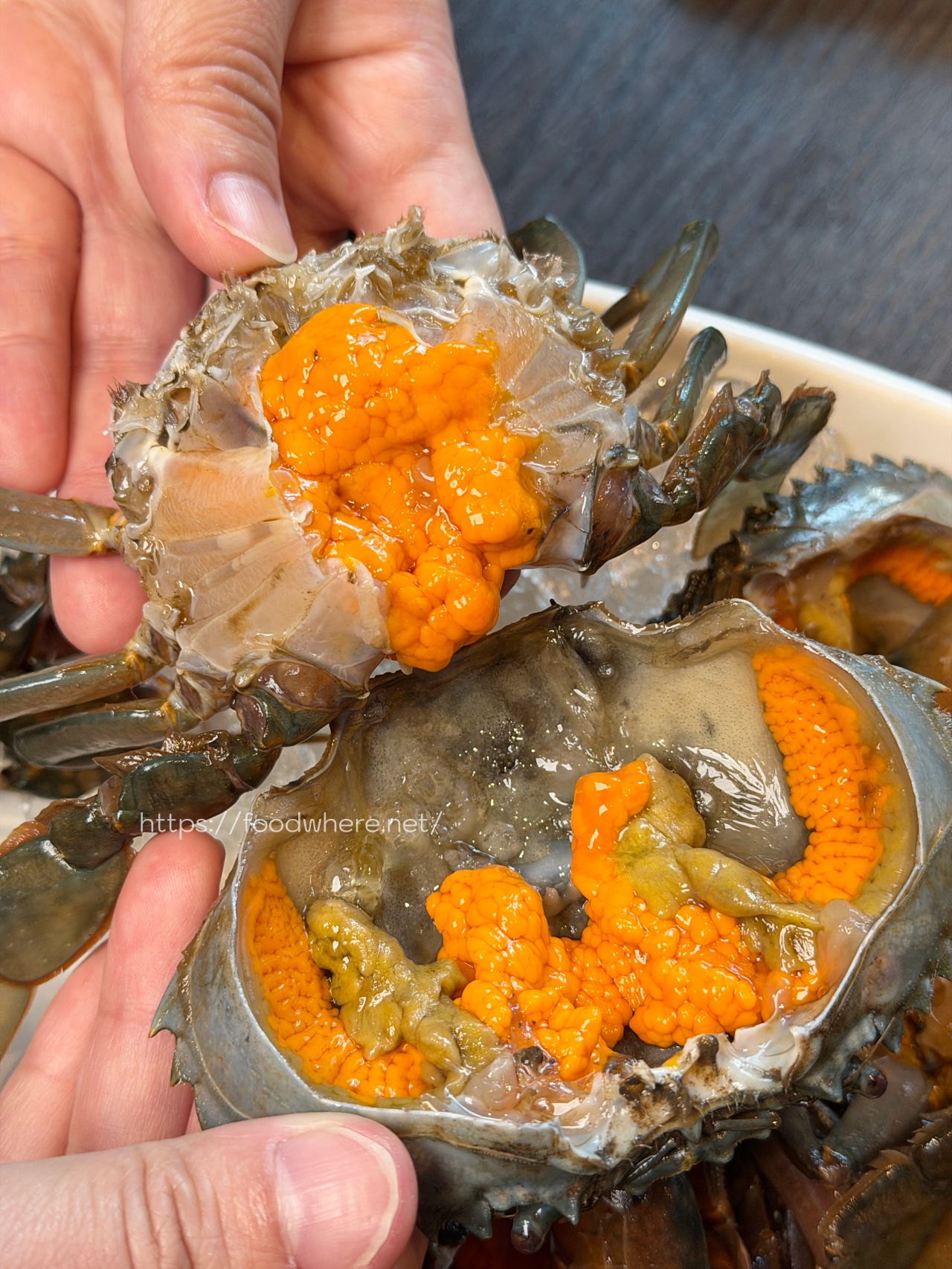 高雄火鍋推薦《舞古賀鍋物專門店》活跳跳新鮮爆蛋紅蟳單隻 99 元，36oz 大份量肉盤雙人餐 @高雄美食底對