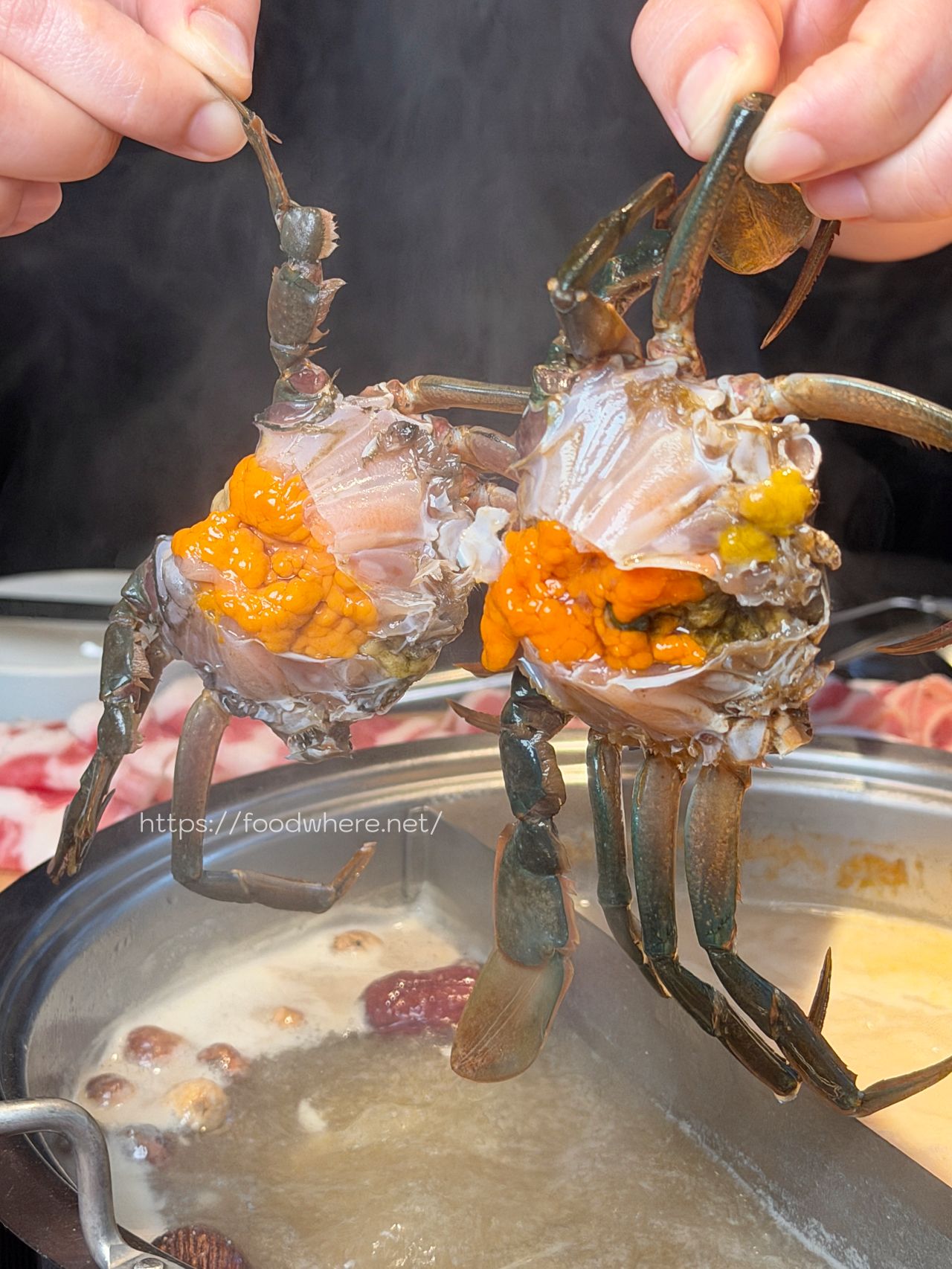 高雄火鍋推薦《舞古賀鍋物專門店》活跳跳新鮮爆蛋紅蟳單隻 99 元，36oz 大份量肉盤雙人餐 @高雄美食底對