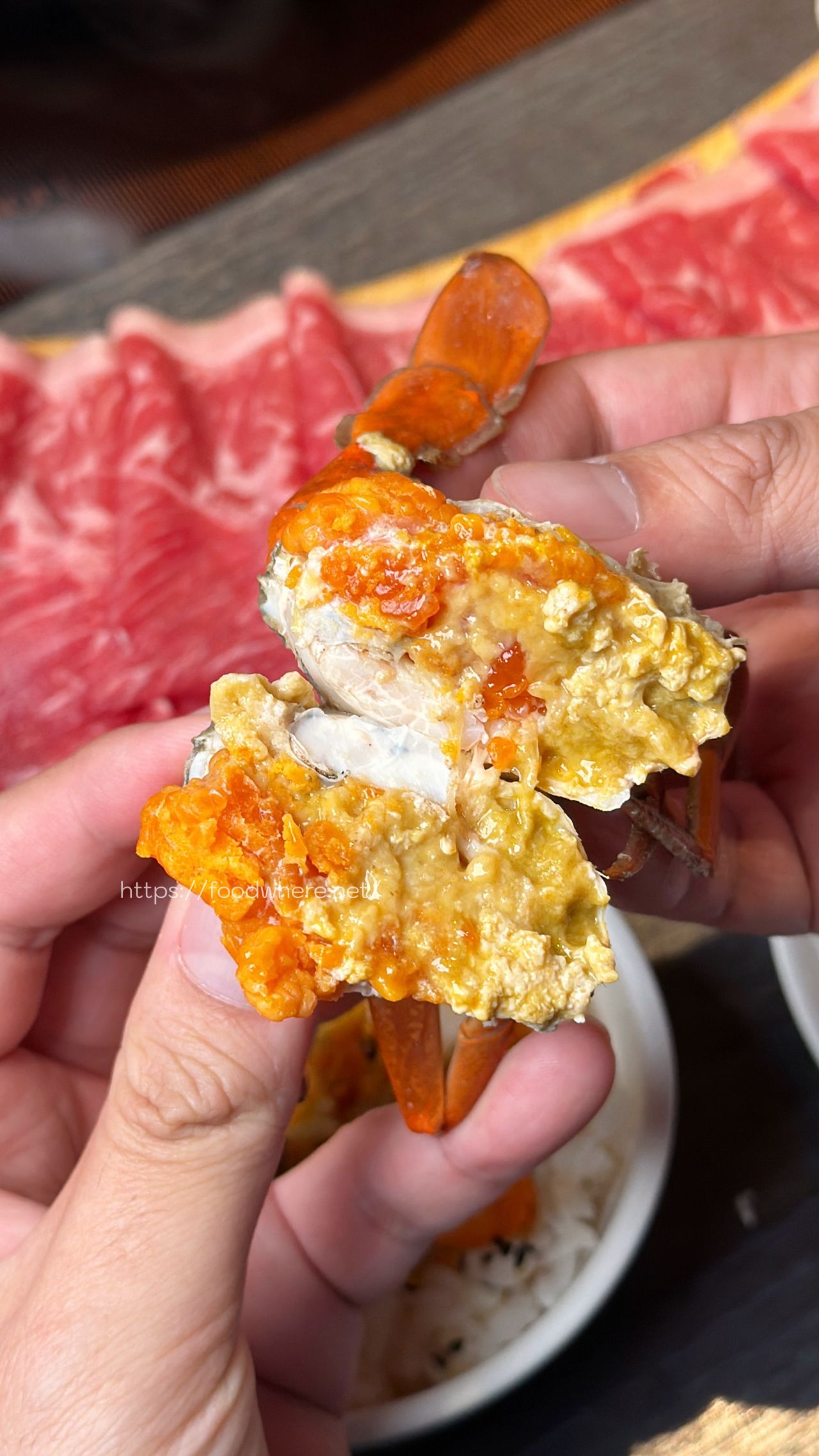 高雄火鍋推薦《舞古賀鍋物專門店》活跳跳新鮮爆蛋紅蟳單隻 99 元，36oz 大份量肉盤雙人餐 @高雄美食底對