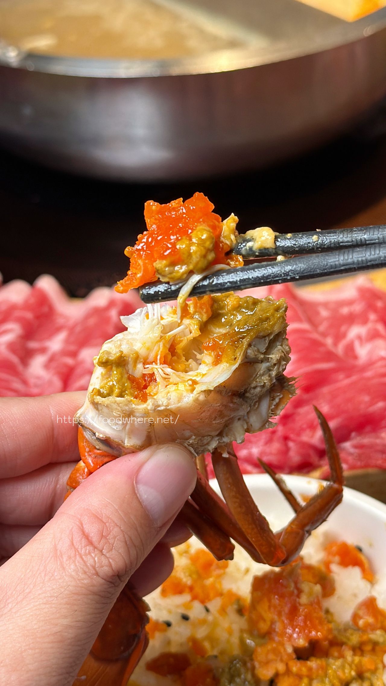 高雄火鍋推薦《舞古賀鍋物專門店》活跳跳新鮮爆蛋紅蟳單隻 99 元，36oz 大份量肉盤雙人餐 @高雄美食底對