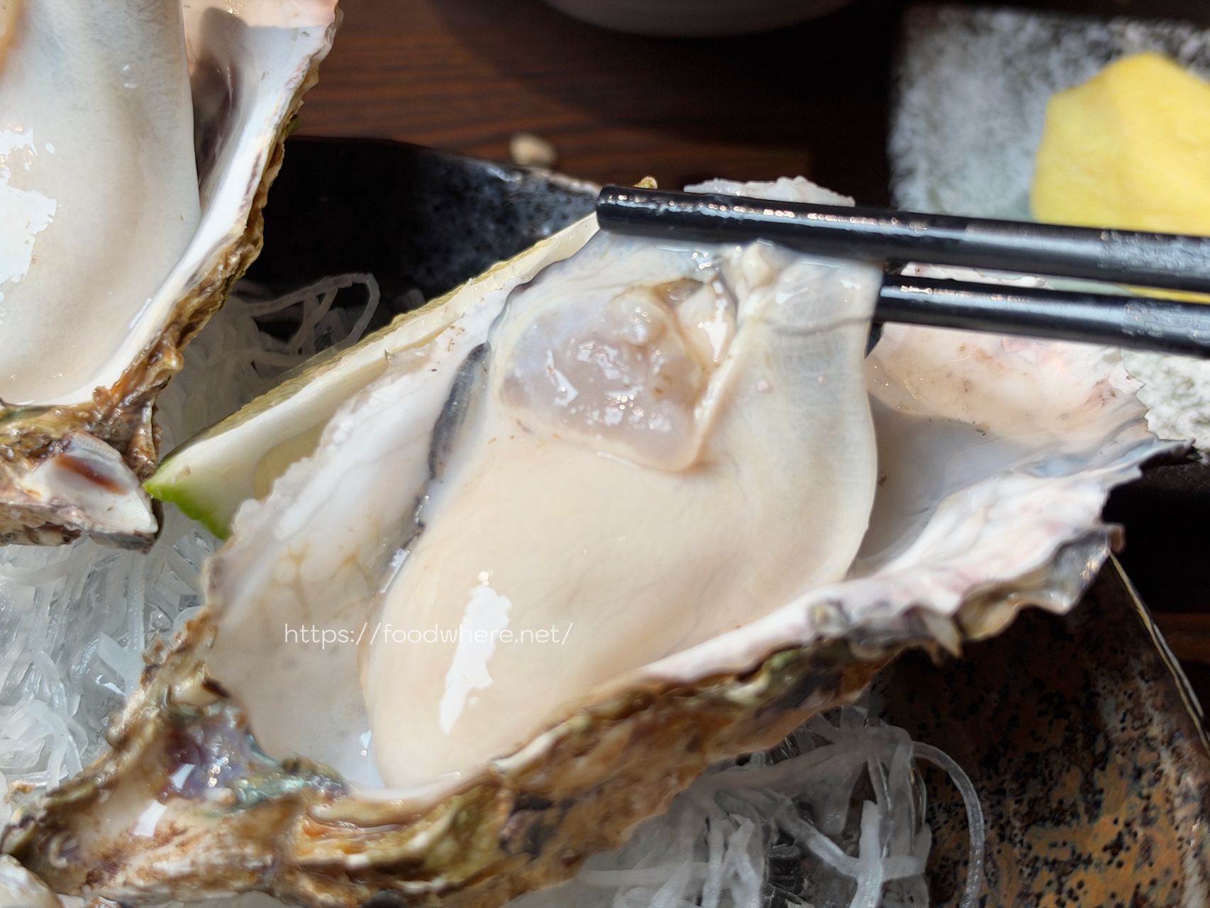高雄三民區居酒屋《成局居酒屋》廣島生蠔限時吃到飽!雞肉串掛著上桌超吸睛 @高雄美食底對 高雄三民區居酒屋《成局居酒屋》廣島生蠔限時吃到飽!雞肉串掛著上桌超吸睛 @高雄美食底對