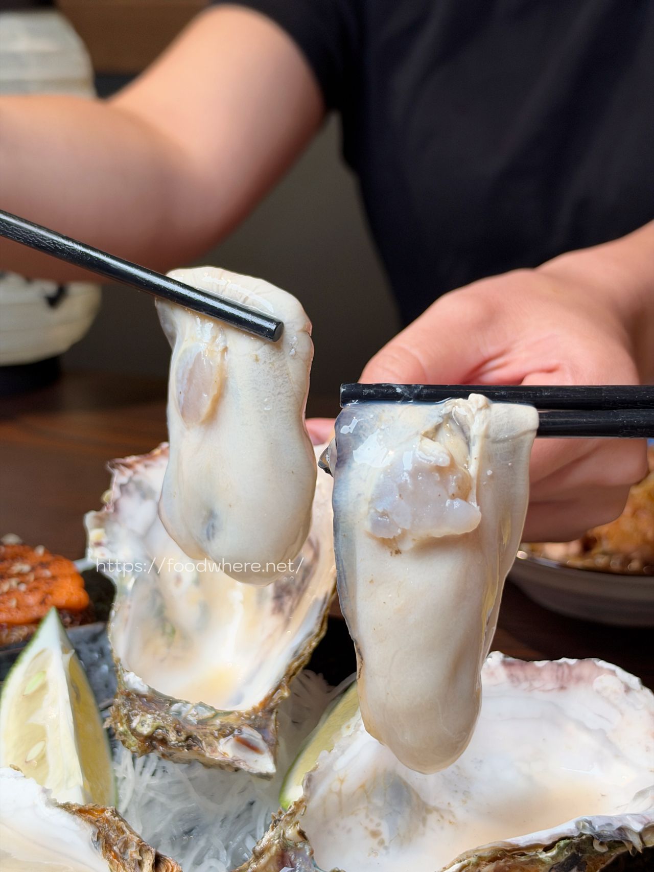 高雄三民區居酒屋《成局居酒屋》廣島生蠔限時吃到飽!雞肉串掛著上桌超吸睛 @高雄美食底對 高雄三民區居酒屋《成局居酒屋》廣島生蠔限時吃到飽!雞肉串掛著上桌超吸睛 @高雄美食底對